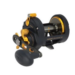 Penn Fathom Star Drag