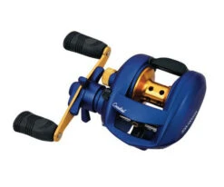 Daiwa Coastal Barra 153H Baitcasting Reel
